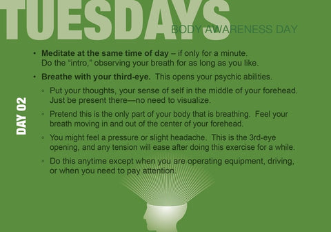 Build Your Psychic Skills: The 90-Day Plan Cards Deck Schiffer Publishing NEW