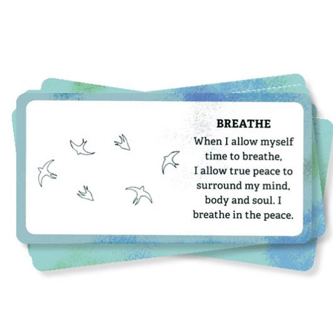 Enchanted Soul Affirmation Cards Animal Dreaming Nick Bibes Esoteric Fortune NEW