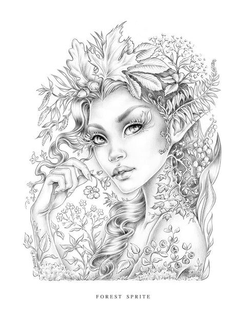 Wildflower Folk Coloring Book Notebook Fairy Christine Karron Blue Angel Wff22