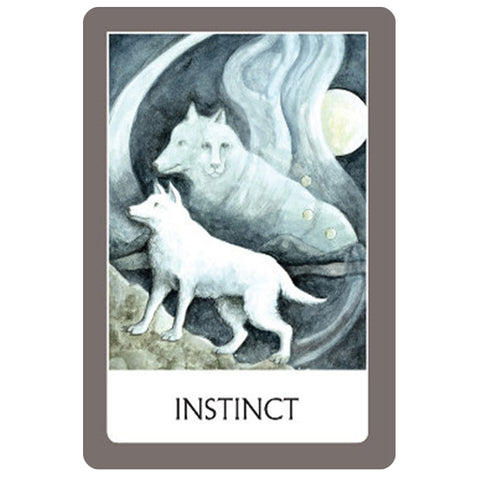 Chakra Wisdom Oracle Cards Deck Watkins Publishing By Tori Hartman Meditate NEW