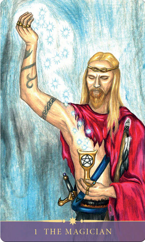 Steele Wizards Tarot Cards Deck Pamela Steeler Soul Schiffer Publishing Sp180