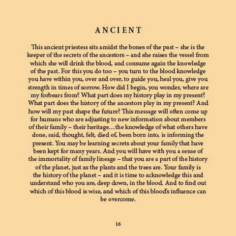 Wisdom Of The Vampires Oracle Gift Book Blue Angel By Lucy Cavendish Wisva