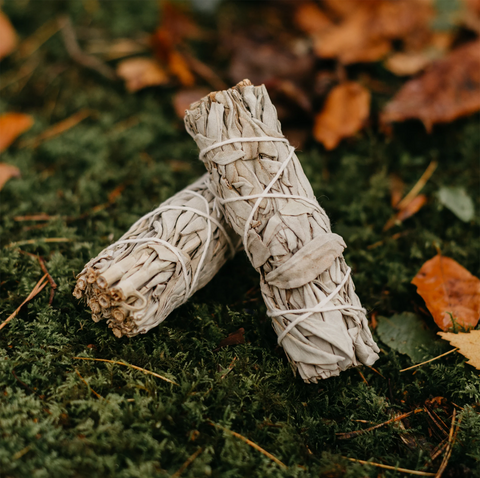 Smudge Stick - White Sage Spirituell Reinigender Stab By Ancient Wisdom NEW