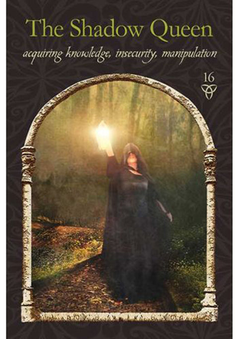 Wisdom Of The Hidden Realms Oracle Cards Deck And Guidebook Divine