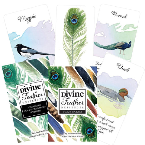 Divine Feather Messenger Oracle Cards Alison Denicola Scheirer US Games Dfm44