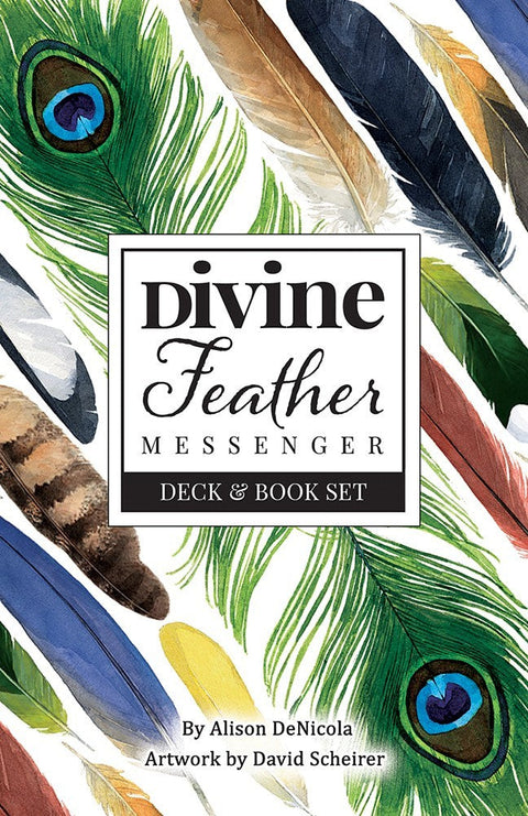 Divine Feather Messenger Oracle Cards Alison Denicola Scheirer US Games Dfm44