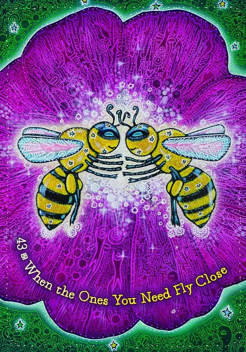 The Dream Weaver'S Oracle Cards Deck Guidebook Hay House Colette Baron-Reid NEW