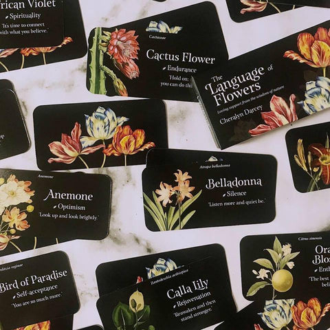 The Language Of Flowers Inspiration Cards Deck Rockpool Publishing Cheralyn NEW