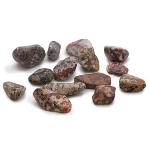 24 Medium Tumble Stones - Leopard Skin Gemstones Amulet Ancient Wisdom NEW