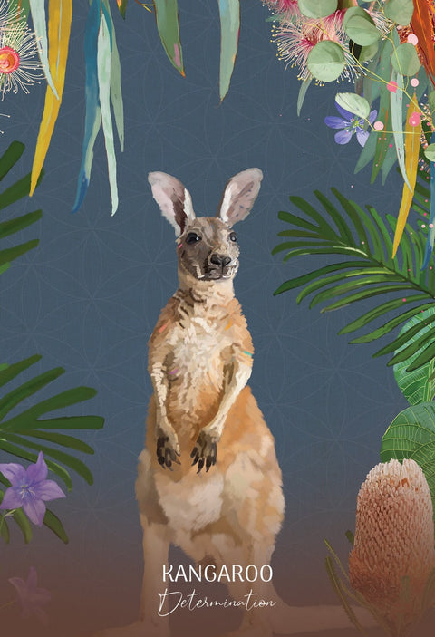 Wild Wisdom Australia Oracle Cards Deck Blue Angel K.Roberts - B.Hughes