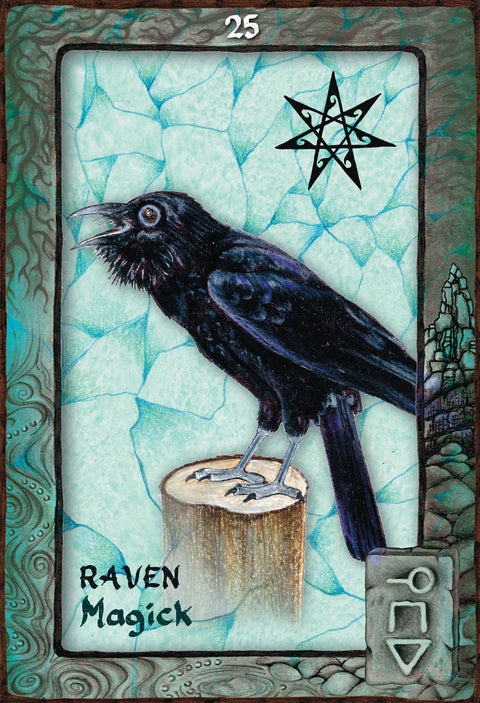 Animal Dreaming Oracle Deck Cards Esoteric Fortune Telling Blue Angel NEW