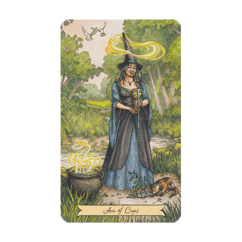 Everyday Witch Tarot Mini Cards Deck Llewellyn Deborah Blake Elisabeth Alba NEW