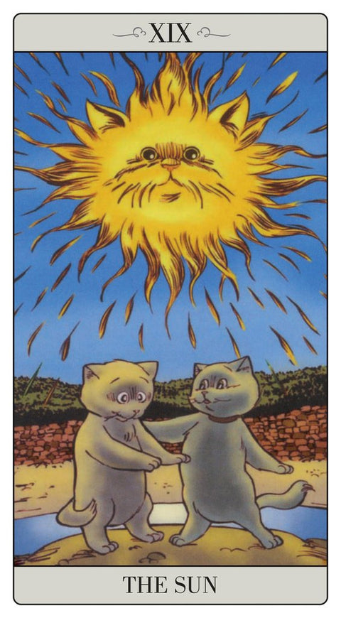 The Way Jodorowsky Explained Tarot To His Cat Deck Major Cards Lo Scarabeo NEW