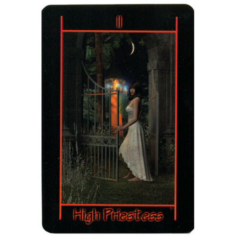 Tarot Of The Night Deck Book Set Schiffer Publishing Richard Shadowfox NEW