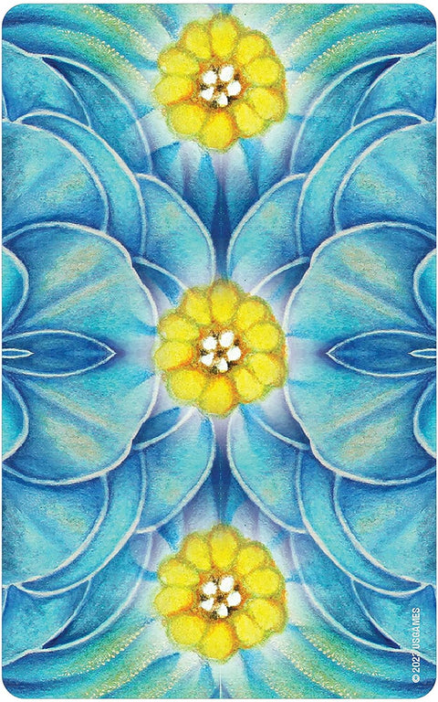 Woven Spirit Oracle Cards Deck L. Sadler Universal Energy US Games Systems