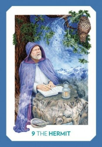GAIAN TAROT CARDS BOOK SET SCHIFFER PUBLISHING JOANNA COLBERT NEW