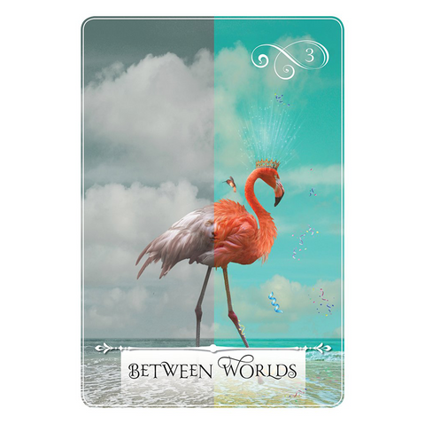 Wisdom Of The Oracle Divination Cards Deck By Colette Baron-Reid