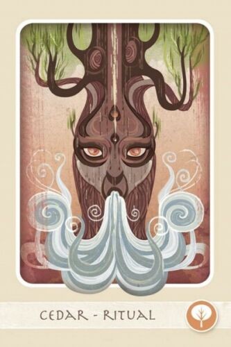 Herbal Healing Deck Cards Book Schiffer Publishing Baldwin Verkamp NEW