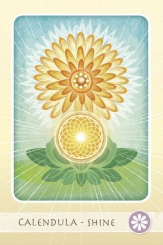 Herbal Healing Deck Cards Book Schiffer Publishing Baldwin Verkamp NEW