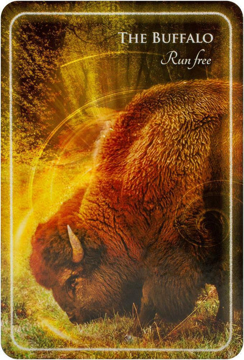 Animal Whispers Empowerment Cards Deck Esoteric Madeleine Walker Findhorn Fhp05