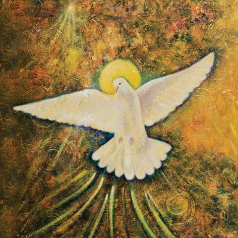 Wisdom Of Gaia Gift Book Earth Mother Blue Angel By Toni Carmine Salerno Wisga