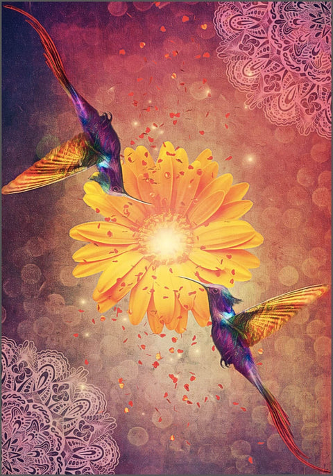 Hummingbird Wisdom Oracle Cards Deck Schiffer Publishing Guidance Birds NEW