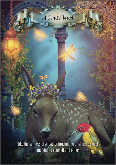 Hummingbird Wisdom Oracle Cards Deck Schiffer Publishing Guidance Birds NEW