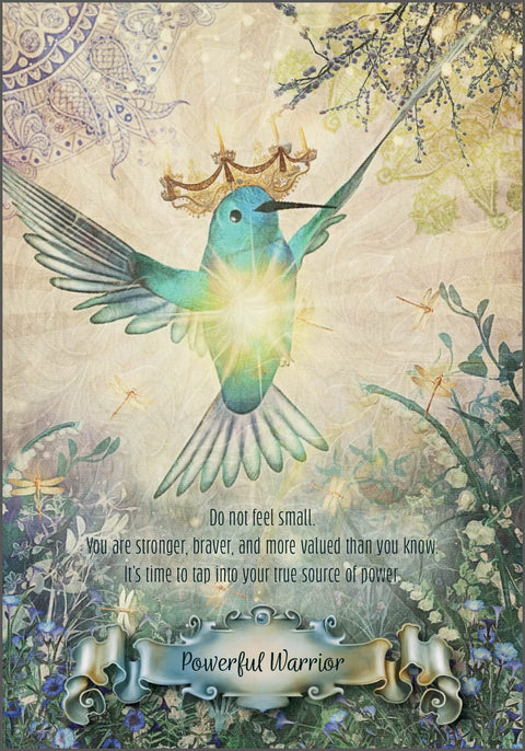 Hummingbird Wisdom Oracle Cards Deck Schiffer Publishing Guidance Birds NEW