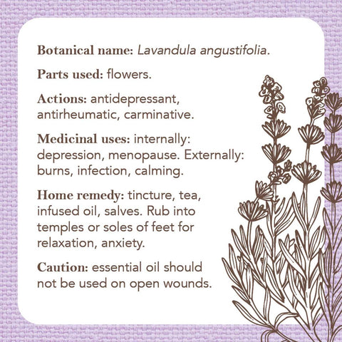 Apothecary Flashcards Deck – Herbal Remedies & Plant Medicine Study Cards