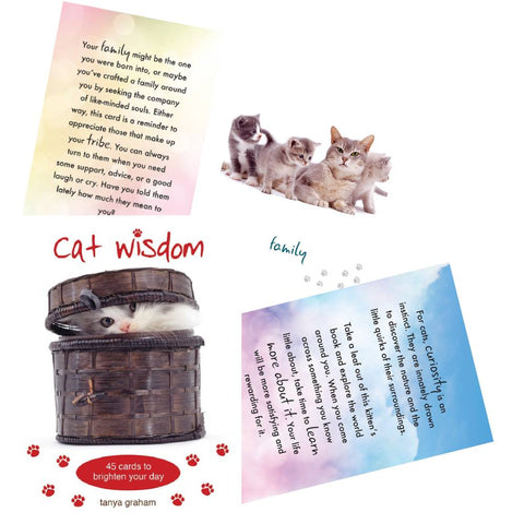 Cat Wisdom Cards Deck Inspirational Uplifting Tanya Graham Blue Angel NEW