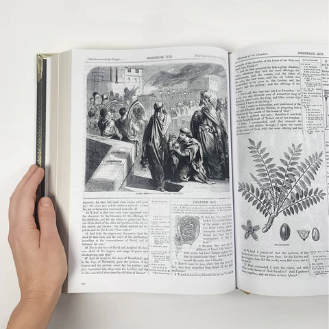 The Most Beautiful Holy Bible | KJV Family Edition | 900+ Illustrations | 1600 Pages