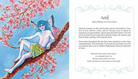 Inspirational Visions Oracle Cards Deck & Book By Judy Schiffer Publishing NEW