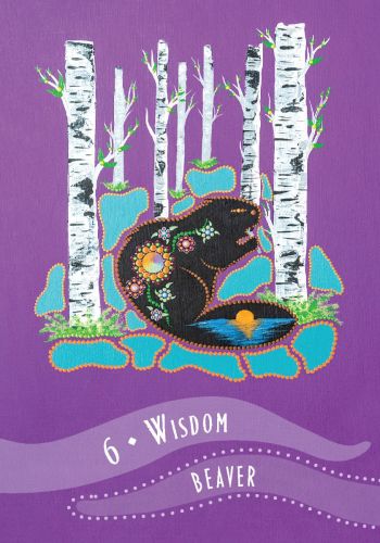 Wisdom Of The Elders Oracle Cards Deck And Guidebook By Shawn Leonard