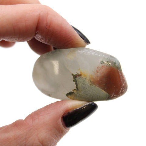 12 Medium African Tumble Stones Bloodstone Sephtonite Gems Ancient Wisdom NEW