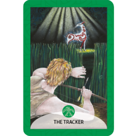 THE ANCESTRAL ORACLE OF THE CELTS CARDS DECK WATKINS PUBLISHING HEALING NEW