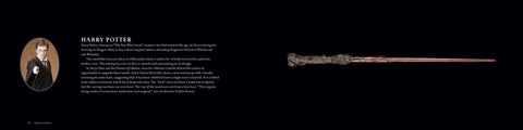 Harry Potter The Wand Collection Insight Editions