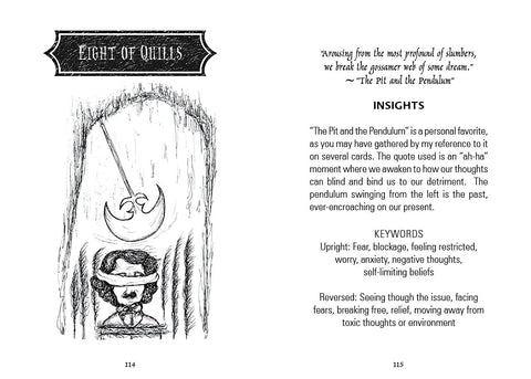 THE POE TAROT CARDS DECK SCHIFFER PUBLISHING TRISHA LEIGH SHUFELT ESOTERIC NEW