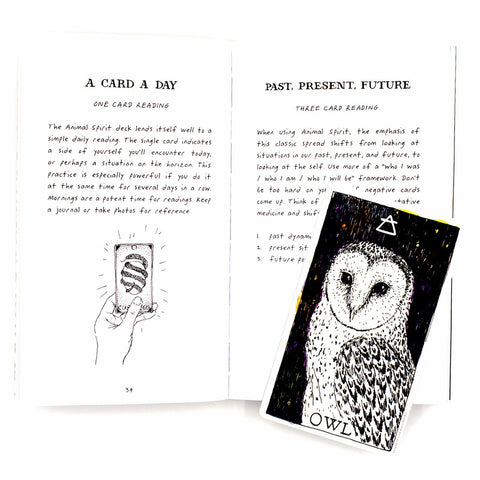 Wild Unknown Animal Spirit Cards Deck And Guidebook Esoteric Harper One Hpo02