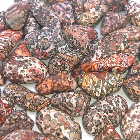 24 Medium Tumble Stones - Leopard Skin Gemstones Amulet Ancient Wisdom NEW