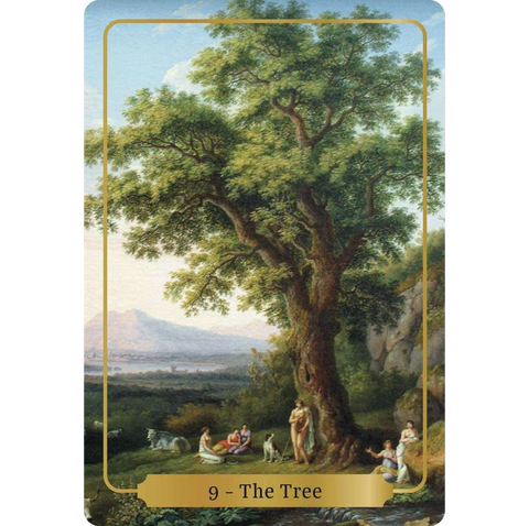 Sacred Blessings Oracle Cards Eveningstar Animal Dreaming Publishing Ad17