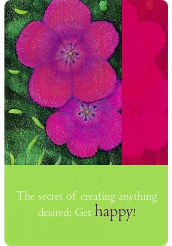 Teachings Of Abraham Well-Being Cards Deck Hay House Esther And Jerry Hicks NEW