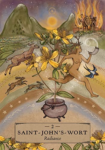 Herbal Astrology Oracle Cards Deck And Guidebook Hay House By Adriana Ayales NEW