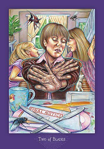 Everyday Enchantment Tarot Cards Deck Book Set Schiffer Publishing Palin NEW