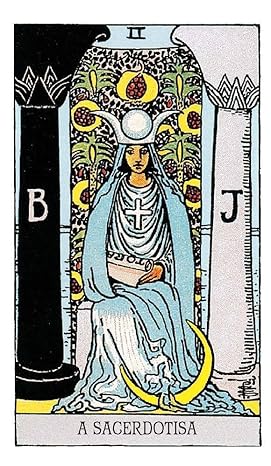 Tarot de A.E. Waite Cards Portuguese Edition AGM