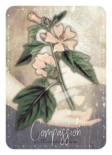 Magickal Herb Oracle Rockpool Cheralyn Darcey & Deer Dandy Magic And Rituals NEW