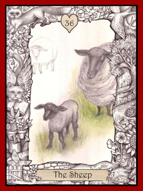 The Oracle Of The Innocent Heart Cards Deck By Animal Dreaming Publishing NEW