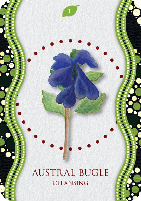 Aboriginal Healing Oracle Card Deck Rockpool Publishing By Mel Brown Rp192