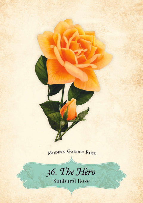Oracle Of The Roses Cards Rockpool Cheralyn Darcey 44 Divinely Illustrated NEW