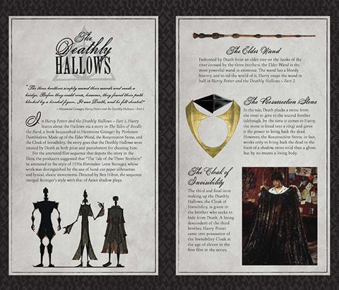 Harry Potter: The Deathly Hallows Hardcover Ruled Journal Insight Editions
