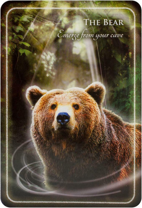 Animal Whispers Empowerment Cards Deck Esoteric Madeleine Walker Findhorn Fhp05